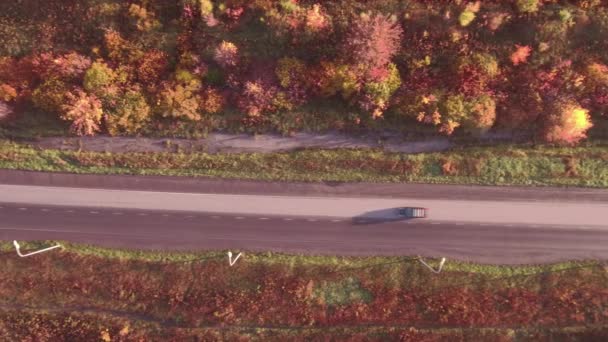 Légifelvételek autópálya road, őszi táj. erdő, valamint az utak mentén. 4k — Stock videók