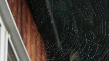 Ahşap bir evin penceresinde bir örümcek ağı üzerinde Çiy