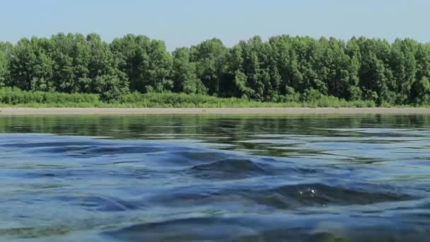 Flujo rápido en el ancho río poco profundo, vista sobre una piedra en el fondo a través del agua. resplandor del sol en el agua — Vídeos de Stock