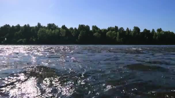 Fluxo rápido no rio raso largo, vista em umas pedras no fundo através da água. brilho do sol na água — Vídeo de Stock