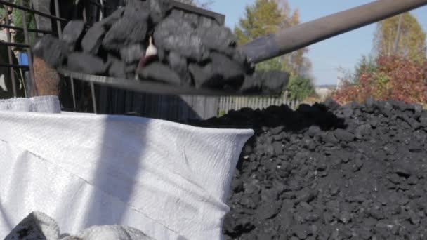 Pracownik pakuje węgiel do worków. Człowiek z łopatą i stertą węgla na podwórku. przygotowanie do sezonu zimowego. — Wideo stockowe