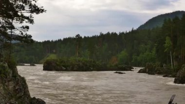 dağ nehri, bir yaz gününde dağ vadisinde hızlı akış
