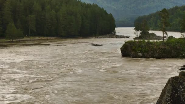 Горная река, быстрый поток через горную долину в летний день — стоковое видео