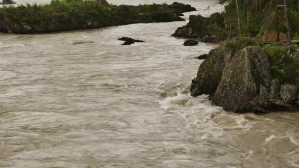 Gebirgsfluss, schneller Fluss durch das Gebirgstal an einem Sommertag — Stockvideo