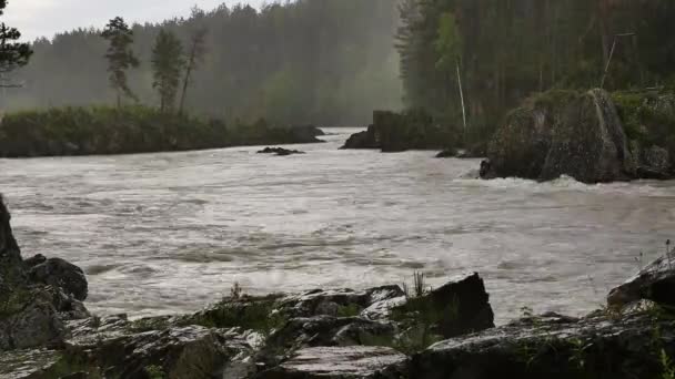 Rio da montanha, fluxo rápido através do vale da montanha em um dia de verão — Vídeo de Stock