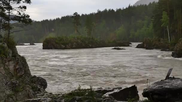 Rio da montanha, fluxo rápido através do vale da montanha em um dia de verão — Vídeo de Stock
