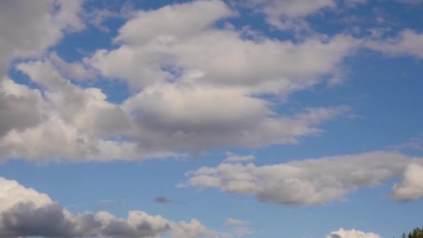 Vitt moln löper över den blå himlen, böljande fluffiga moln rör sig i en sommardag — Stockvideo