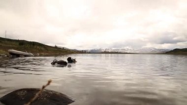 bir dağ gölünde tüplü dalış, acil kurtarma için teknikler pratik. soğuk suya daldırma
