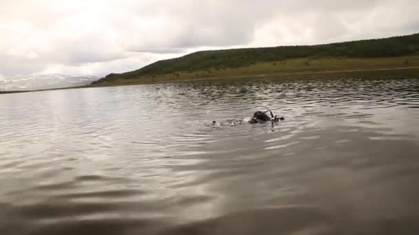 Mergulho em um lago de montanha, praticando técnicas para socorristas de emergência. imersão em água fria — Vídeo de Stock