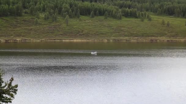 Bateau à moteur flotte sur un lac de montagne, la randonnée et la pêche dans les montagnes — Video