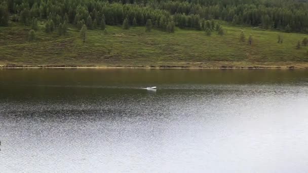 Motorbåten flyter på en fjällsjö, vandring och fiske i fjällen — Stockvideo