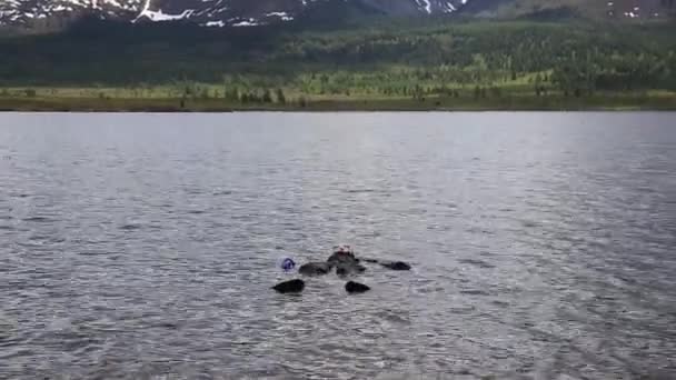 Mergulho em um lago de montanha, praticando técnicas para socorristas de emergência. imersão em água fria — Vídeo de Stock