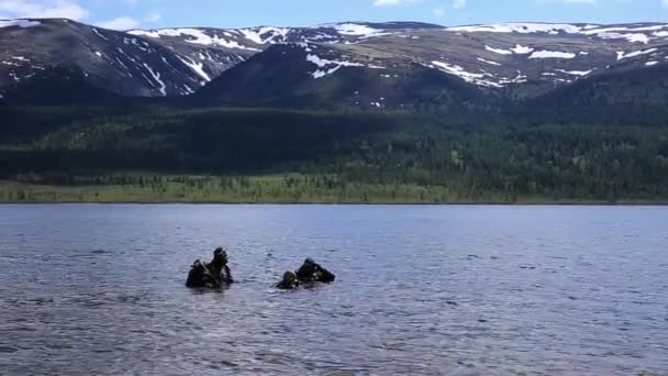 Buceo en un lago de montaña, la práctica de técnicas para los rescatistas de emergencia. inmersión en agua fría — Vídeo de stock