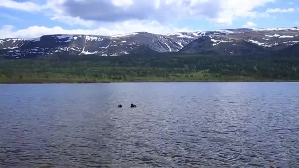 Dykning i en fjällsjö, öva tekniker för räddningspersonal räddare. nedsänkning i kallt vatten — Stockvideo