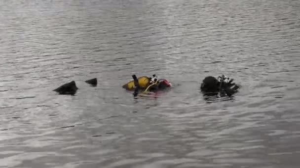 Buceo en un lago de montaña, la práctica de técnicas para los rescatistas de emergencia. inmersión en agua fría — Vídeos de Stock