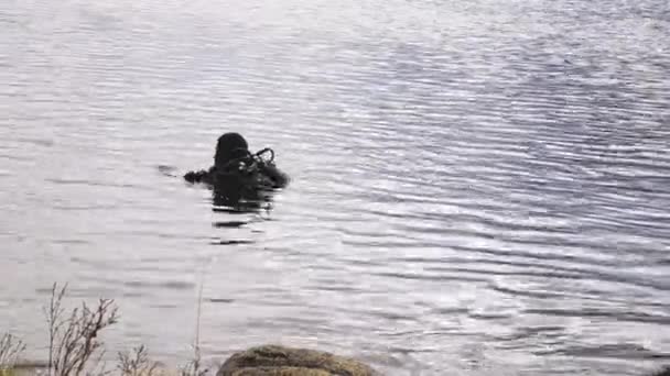 Buceador entra en el agua del lago de montaña. practicar técnicas para socorristas de emergencia. inmersión en agua fría — Vídeo de stock