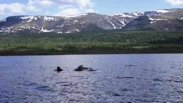 Immersioni in un lago di montagna, praticando tecniche per soccorritori di emergenza. immersione in acqua fredda — Video Stock