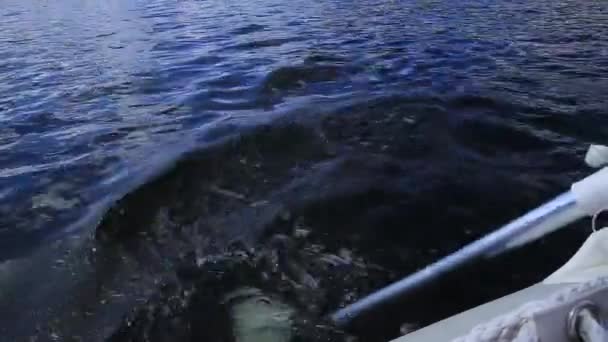 Trabalho de remo no bote salva-vidas em um lago de montanha em paisagem incrível em um dia de verão — Vídeo de Stock