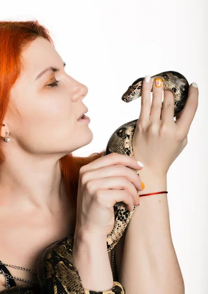 Sexy redhead woman holding snake. close-up photo girl with pygmy python on a white background — Stock Photo, Image