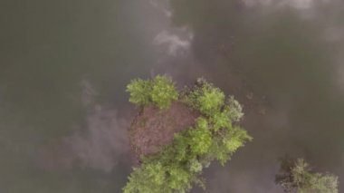 Göl yüzeyinde alçak uçuş, yeşilimsi su yüzeyindebulutların yansıması. 4k