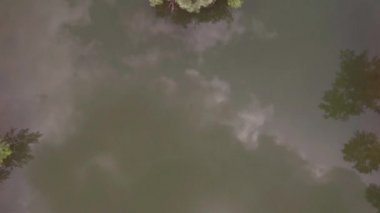 Göl yüzeyinde alçak uçuş, yeşilimsi su yüzeyindebulutların yansıması. 4k