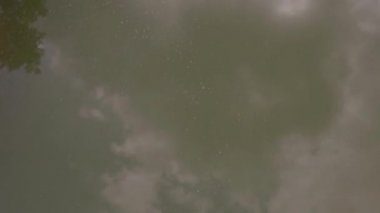 Göl yüzeyinde alçak uçuş, yeşilimsi su yüzeyindebulutların yansıması. 4k