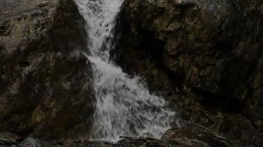 alçak dağlarda bir dağ nehri küçük şelale. güçlü dere taşların üzerinde akar. yavaş çekim
