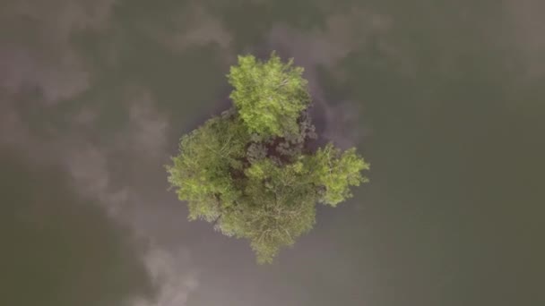 호수 표면에 낮은 비행, 녹색 물 표면에 구름의 반사. 4k — 비디오
