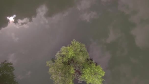 Низкий полет над поверхностью озера, отражение облаков в зеленоватой поверхности воды. 4K — стоковое видео