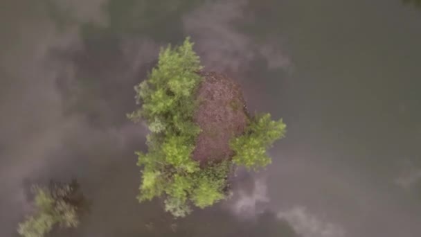 Bajo vuelo sobre la superficie del lago, reflejo de nubes en la superficie de agua verdosa. 4K — Vídeos de Stock