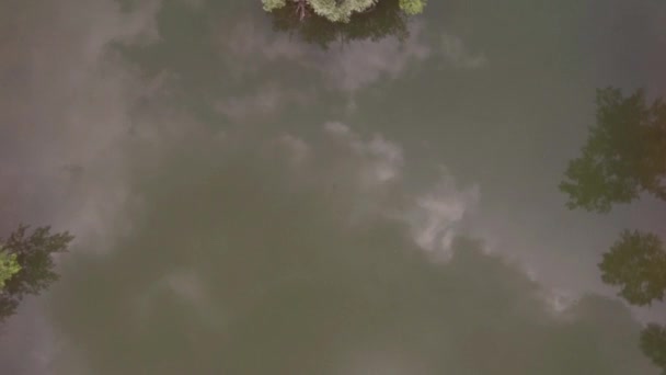 Vôo baixo sobre a superfície do lago, reflexo de nuvens na superfície de água esverdeada. 4K — Vídeo de Stock