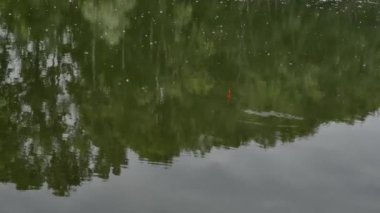 sakin bir su gölde ısırıkları bekliyor olta. su üzerinde hafta sonu. 4k. suyun yüzeyinde bulutlar ve ağaçların yansıması