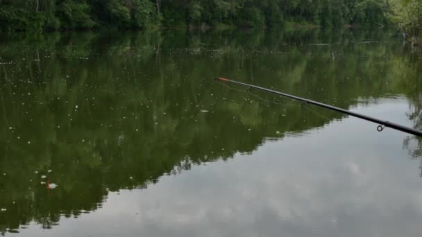 Caña de pescar esperando mordeduras en un lago de aguas tranquilas. fin de semana en el agua. 4K. reflejo de nubes y árboles en la superficie del agua — Vídeo de stock