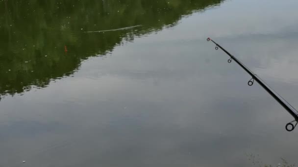 Canna da pesca in attesa di morsi su un lago calmo. week end in acqua. 4K. riflesso di nuvole e alberi sulla superficie dell'acqua — Video Stock