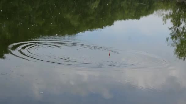 Рибальський стрижень чекає укусів на спокійному водному озері. Вихідні на воді. 4K. відображення хмар і дерев на поверхні води — стокове відео