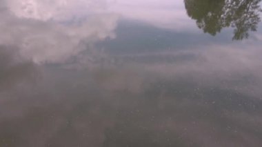 Havadan görünüm. Güneşli yaz sabahı göl üzerinde düşük uçuş. Yeşil ağaçlar ve tepeler, göl yüzeyindeki bulutların yansıması. 4k