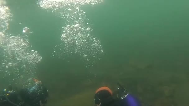 Primeiro mergulho em água fria, instrutor de mergulho conduzindo um curso de mergulho em águas rasas em um lago de montanha — Vídeo de Stock