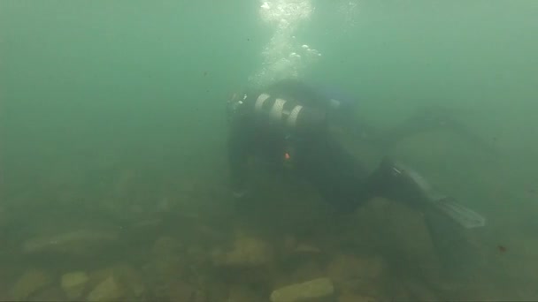 Primera inmersión en agua fría, instructor de buceo realizando un curso de buceo en aguas poco profundas en un lago de montaña — Vídeos de Stock