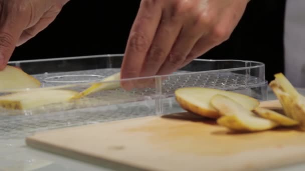 Gedroogde vruchten. Biologisch ecologisch voedsel. vrouw legt fruit op de planken in de droogapparatuur — Stockvideo