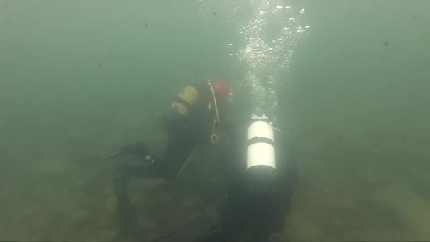 Інструктор з дайвінгу, що проводить курс дрібного водного підводного плавання. дослідження гірського озера в крижаній воді — стокове відео
