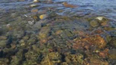 geniş sığ nehirhızlı akış, su ile alt kısmında bir taş görünümü. su üzerinde güneş parlama