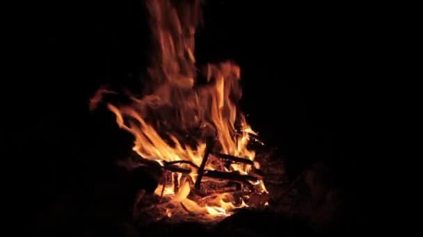 Kampvuur brandt fel avonds langs het mooie strand van rivier — Stockvideo