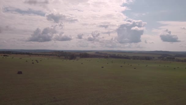 航空写真。収穫後の農地。収穫と農業の季節の間にフィールド上の干し草のベール。4k — ストック動画