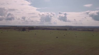 Havadan Görünüm. Hasattan sonra tarım alanı. Hasat ve çiftçilik mevsiminde tarlada saman balyaları. 4k