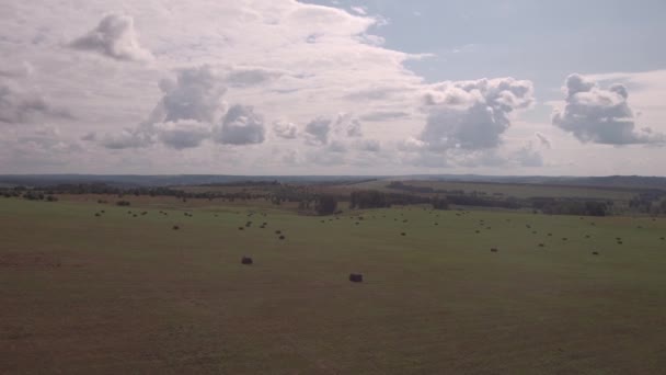 Letecký pohled. Zemědělská oblast po sklizni. V průběhu sklizně a zemědělské sezóny se na hřišti tyčí senové balíky. 4k — Stock video