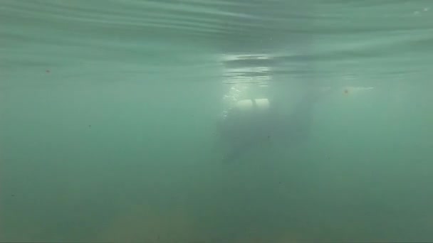 Instructor de buceo realizando un curso de buceo en aguas poco profundas. exploración de un lago de montaña en agua helada — Vídeos de Stock