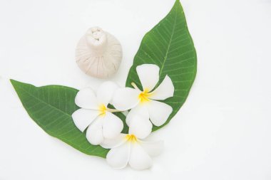 Frangipani plumeria Spa çiçek beyaz tahta üzerinde. Thai Spa. Sağlıklı kavramı.