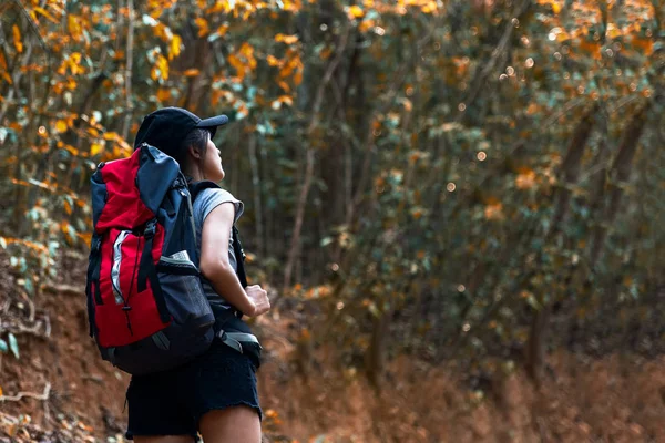 秋季自然徒步旅行的亚洲年轻女子在国家公园步行与背包 女游客去森林露营 旅游理念 — 图库照片