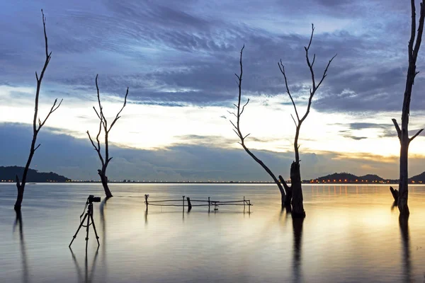 Cámara Del Fotógrafo Tomando Fotos Del Árbol Seco Río Atardecer — Foto de Stock