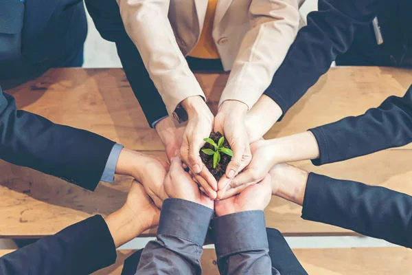 Mãos Obra Equipe Trabalho Cupping Young Plant Nutrir Ambiental Reduzir — Fotografia de Stock